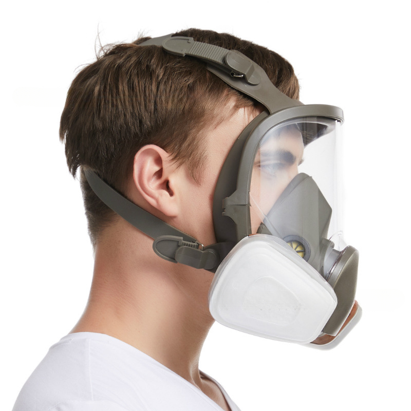 Chống sương mù 6800 mặt nạ khí - đánh giá và giá Dust Mask Construction